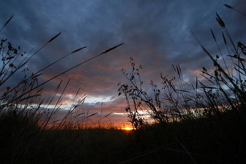 Zonsopkomst in duinen Schiermonnikoog