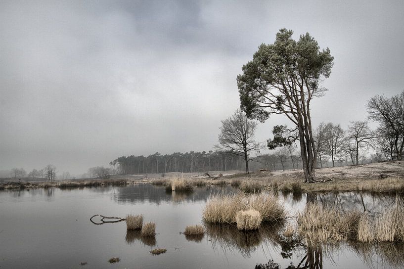 Hatertse vennen by Hans Hendriks