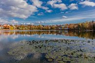 Kleine herfsttocht rond de Burgsee van Oliver Hlavaty thumbnail