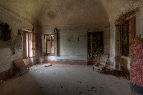 Salon abandonné avec des plantes.