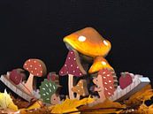 HERFSTDECORATIE van Photoart-Naegele thumbnail