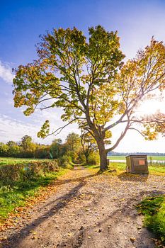 Old side road on an autumn evening
