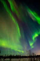 Tanz der Nordlichter