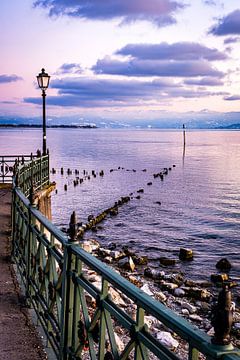 Am Ufer Bodensee von Dieter Walther