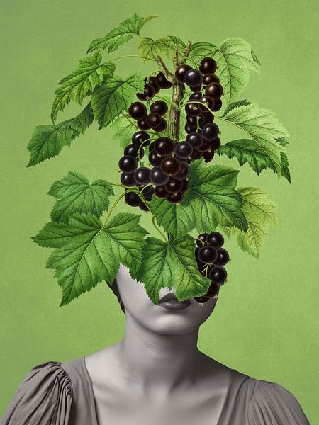 the Blackcurrant Miracle by Marja van den Hurk