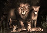 leeuwen gezin met 3 welpen
