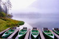 Bootjes in de mist
