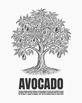 Minimalistisches Poster mit einer Strichzeichnung eines Avocadobaums – weiße Ausgabe