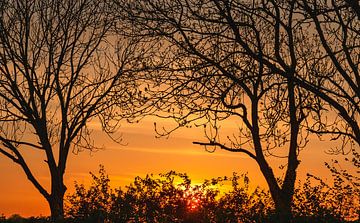 silhouetten bij zonsondergang