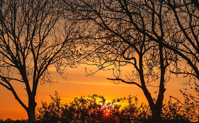 silhouettes au coucher du soleil par Corrie Ruijer