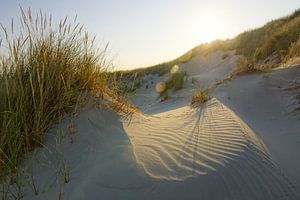Terschelling - Holland vom Feinsten!