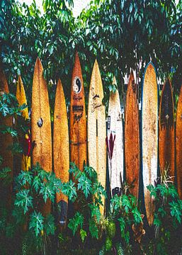 Surfen in Hawaï van irvan halim