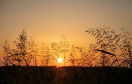 Zonsopgang in Texas van Nettefotos