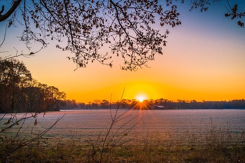 Prachtige Ochtendstond Heeft Goud in de Mond