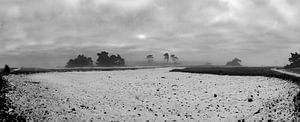 Panorama Winter Landscape
