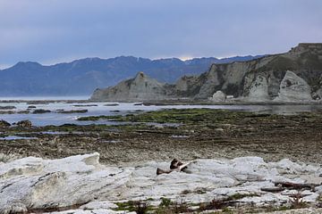 Kaikoura Peninsula van Nicolette Suijkerbuijk Fotografie