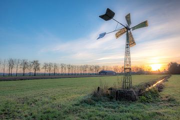 Windmolen in het weiland van Moetwil en van Dijk - Fotografie