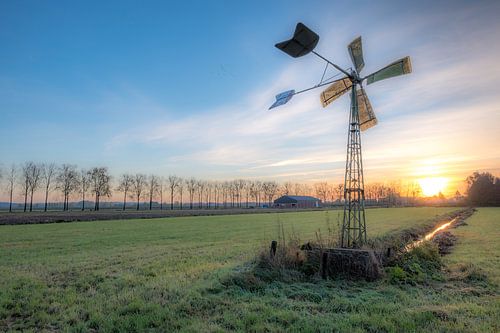 Windmolen in het weiland