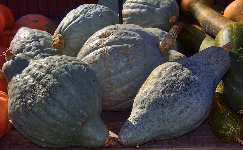 Zeldzaamheid van Edgar Schermaul