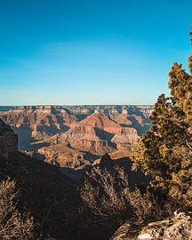 Grand Canyon