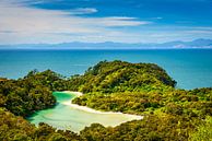 Lagune Abel Tasman NP, Nieuw Zeeland van Rietje Bulthuis thumbnail