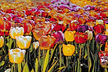 Kleurenspel tulpen Abstract van Marly De Kok