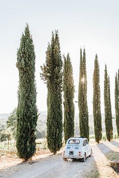 Hellblauer Oldtimer zwischen den Zypressen in der Toskana, Italien