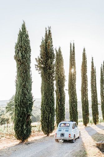 Hellblauer Oldtimer zwischen den Zypressen in der Toskana, Italien