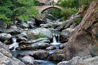 Een rivier in de kloof tussen twee bergen met een oude stenen brug van Paul Wendels thumbnail