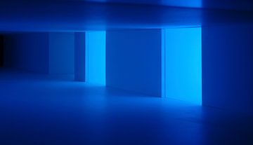 The blue hallway van Harry Hadders