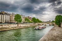 Paris and its Seine