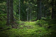 Waldweg von Heike Hultsch Miniaturansicht
