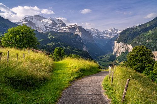 Uitzicht op de Lauterbrunnen vallei in het Berner Oberland