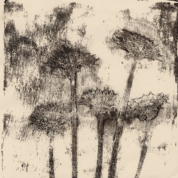 Vintage botanical prints. Dandelions. by Dina Dankers