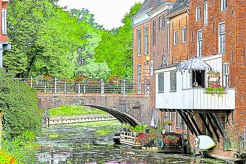 appingedam suspended kitchens