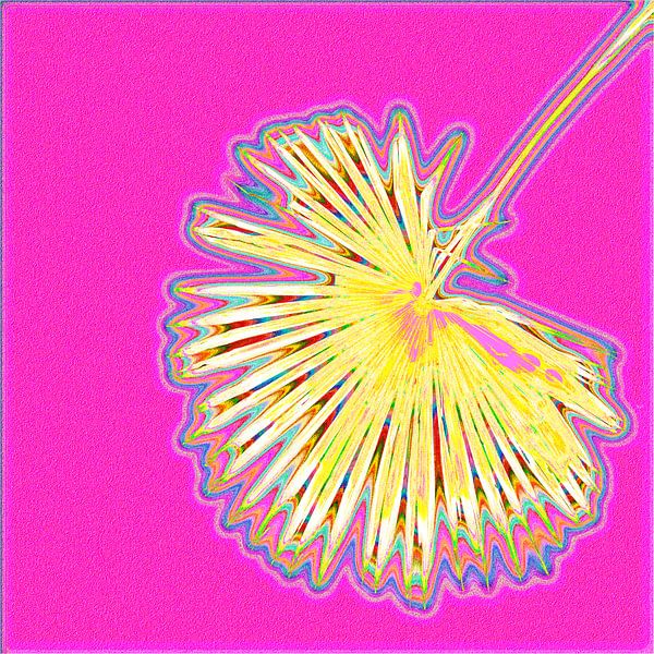 sweet (sweet/dolce) by Johan van Bommel