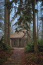 Tea house in the fairytale forest by Moetwil en van Dijk - Fotografie thumbnail