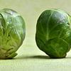 Brussels sprouts panorama by Ingo Laue