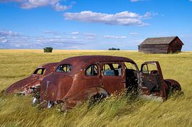 as time goes by by Eric Verdaasdonk