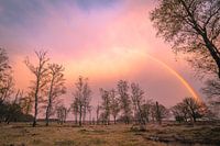 Un arc-en-ciel au coucher du soleil avec un ciel rempli de sable du Sahara.