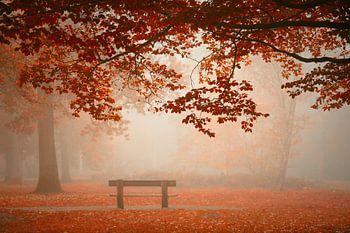 Verträumter Mastwald Breda Holland