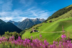 Alpental in den Lechtaler Alpen von Thomas Prechtl