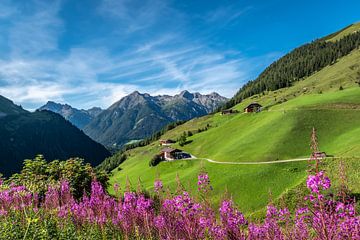 Vallée alpine dans les Alpes du Lechtal