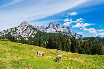 Gezicht op de Litzlalm met koeien in Oostenrijk van Rico Ködder