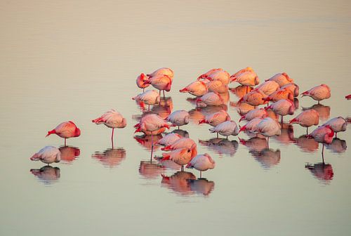 Relaxed wakker worden in de Grevelingen van Roland van Tilborg