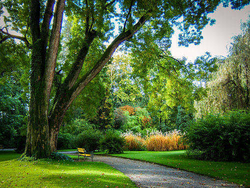 The Secret Garden