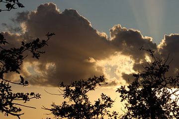 Die Sonne strahlt durch die Wolkendecke von Daniëlle Eibrink Jansen