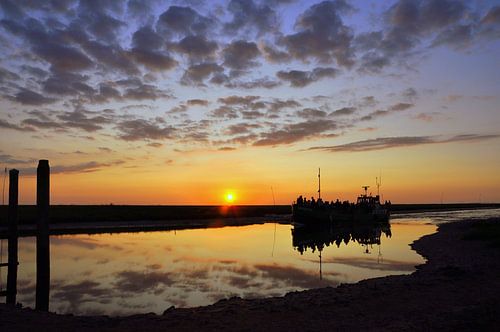 Terugkeer van Wadlopers / Mudflatwalkers coming back