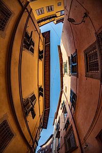 De straatjes van Lucca