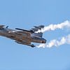 Saab Gripen de l'armée de l'air suédoise. sur Jaap van den Berg
